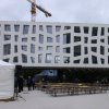 IMG_0247